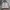Adidas Sportswear Track Jacket Pria Gray
