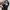 Hat converse  photo 6