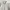 Project M Minimalist Casual Harrington jacket Pria white photo 4