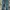 Carhartt Vintage Jeans Pria blue photo 1