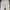 Carhartt Vintage Jeans Pria cream photo 3