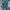 Carhartt Vintage Jeans Pria Blue