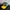 New Era Sportswear Casual Hat Pria Green Yellow