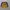 CELANA PENDEK BASKET VINTAGE LA LAKERS 1996-1997 JUST DON