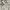 Levi's Vintage Y2K Jeans Pria white photo 5