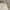 Levi's Vintage Y2K Jeans Pria white photo 7