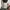 Streetwear Skater Jeans Pria cream photo 4