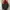 Zara Luxury Casual Bomber jacket Wanita multicolor photo 7