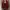 Zara Luxury Casual Bomber jacket Wanita multicolor photo 4