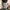 Y2K Skater Sweatpants & Joggers Pria gray photo 4
