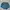 Sportswear Short Wanita blue photo 3