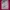 Japanese brand Casual T-shirt Pria multicolor pink photo 2