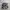 Nike Tn photo 1