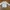 Crewncek Guess  photo 1