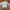 Crewncek Guess 