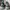 Sportswear Sneakers Pria multicolor gray photo 7