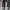 Sportswear Sneakers Pria multicolor gray photo 3
