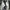 Sportswear Sneakers Pria multicolor gray photo 6