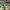 LOUIS VUITTON TRAINERS GREEN MESH , LOUIS VUITTON SNEAKERS , photo 4