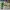 LOUIS VUITTON TRAINERS GREEN MESH , LOUIS VUITTON SNEAKERS , photo 5