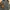 ZARA JACKET LIKE BARBOUR JACKET photo 7
