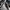 Adidas Supernova Rise M Wide photo 6