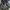Adidas Supernova Rise M Wide photo 1