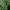 Exa 55 Progressive Green Reflective Jacket photo 4