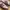 Adidas Casual Sneakers Wanita burgundy white photo 2