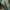 8Seconds Green Chinos Pants photo 1