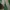 8Seconds Green Chinos Pants