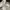 Hush Puppies Samoa Sneakers photo 4