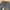 Bershka Mom Jeans Big Size photo 2