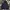 Supreme Casual Hoody Pria black photo 1