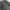 Woman Formal or Casual Outer Zipper such as Blazer or Shell photo 6