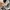 Bralette Sport Bra Wireless Pierre Cardin photo 3