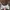 Bralette Sport Bra Wireless Pierre Cardin photo 1