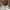 Bralette Sport Bra Wireless Pierre Cardin photo 2