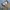 Japanese brand Pair Shine multipoket cargo pants photo 6