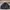 Harrington Vintage Limousine