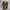 Rick Owens x Converse TURBODRK Chuck Taylor All Star 70s Hi photo 6
