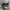 Rick Owens x Converse TURBODRK Chuck Taylor All Star 70s Hi photo 1