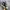Rick Owens x Converse TURBODRK Chuck Taylor All Star 70s Hi photo 2
