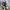 Rick Owens X Converse TURBODRK Chuck Taylor All Star 70s Hi