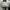 Rick Owens x Converse TURBODRK Chuck Taylor All Star 70s Hi photo 8