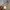 Cargo pants unknow brand photo 6