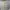 Cargo pants unknow brand photo 1