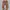Carhartt Carpenter Rugged Flex Straight Brown Duck Canvas photo 2