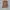 Carhartt Carpenter Rugged Flex Straight Brown Duck Canvas photo 1