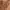 Carhartt Carpenter Rugged Flex Straight Brown Duck Canvas photo 4